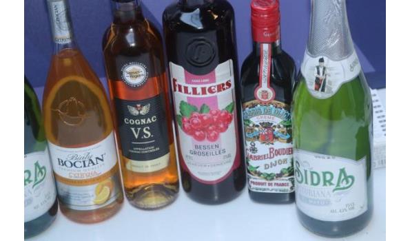 11 flessen diverse sterke dranken
